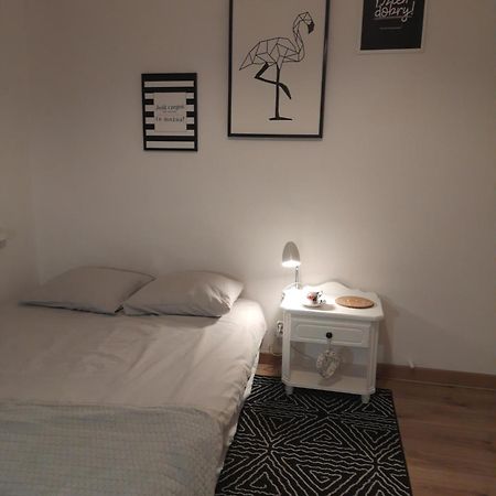 Mieszkanie 4-Pokojowe W Toruniu Przy Umk Extérieur photo