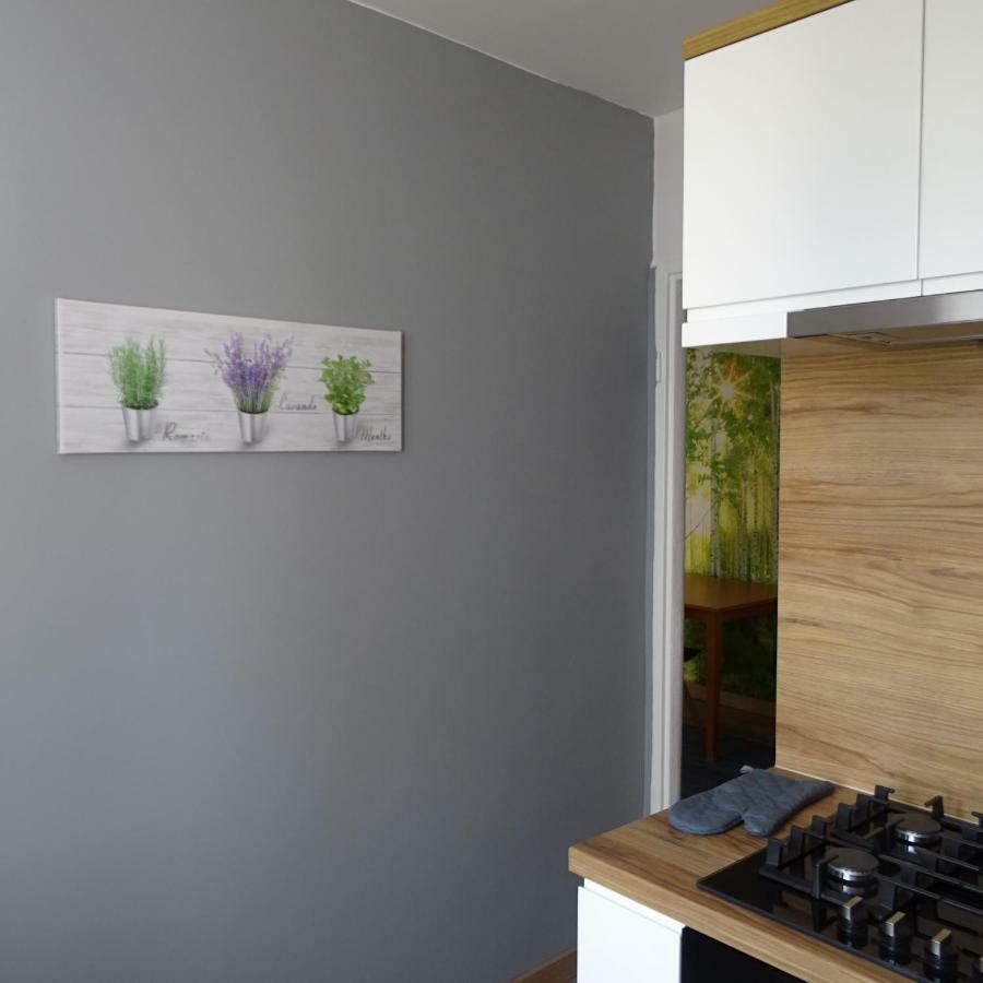 Mieszkanie 4-Pokojowe W Toruniu Przy Umk Extérieur photo