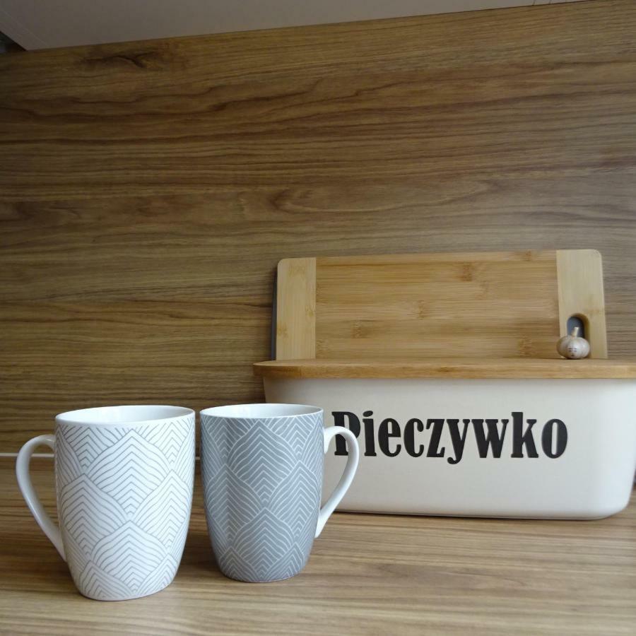Mieszkanie 4-Pokojowe W Toruniu Przy Umk Extérieur photo
